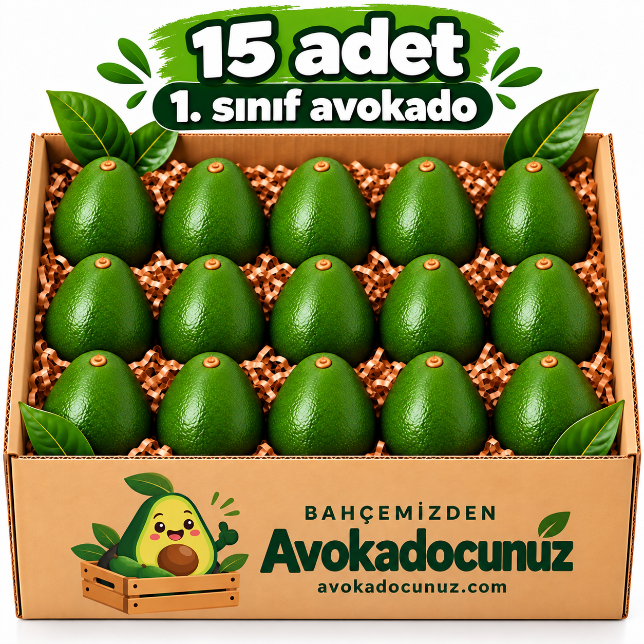 15 Adet Avokado